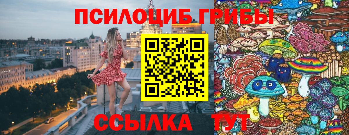 Псилоцибиновые грибы Psilocybine cubensis Муром