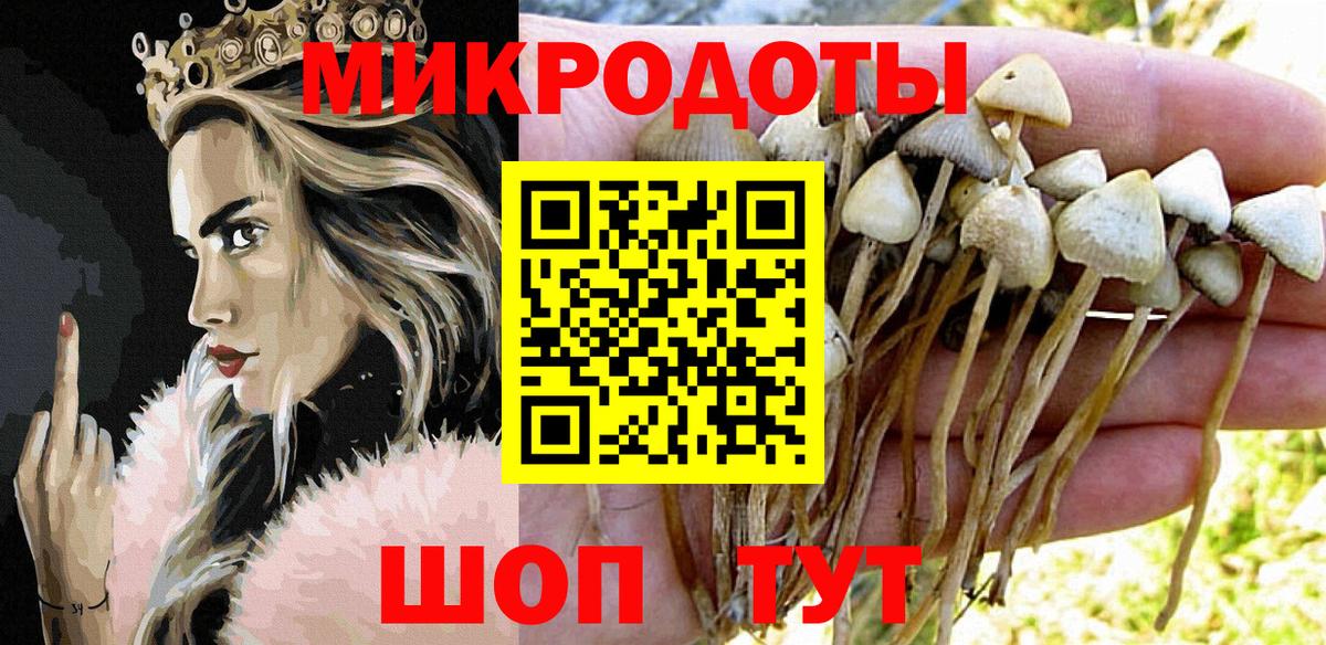 Муром  Псилоцибиновые грибы прущие грибы  Вход с VPN  купить наркотики цена  Галлюциногенные грибы GOLDEN TEACHER 